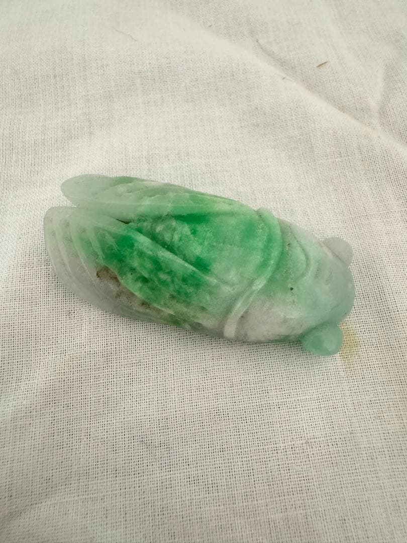 翡翠トップ 蝉