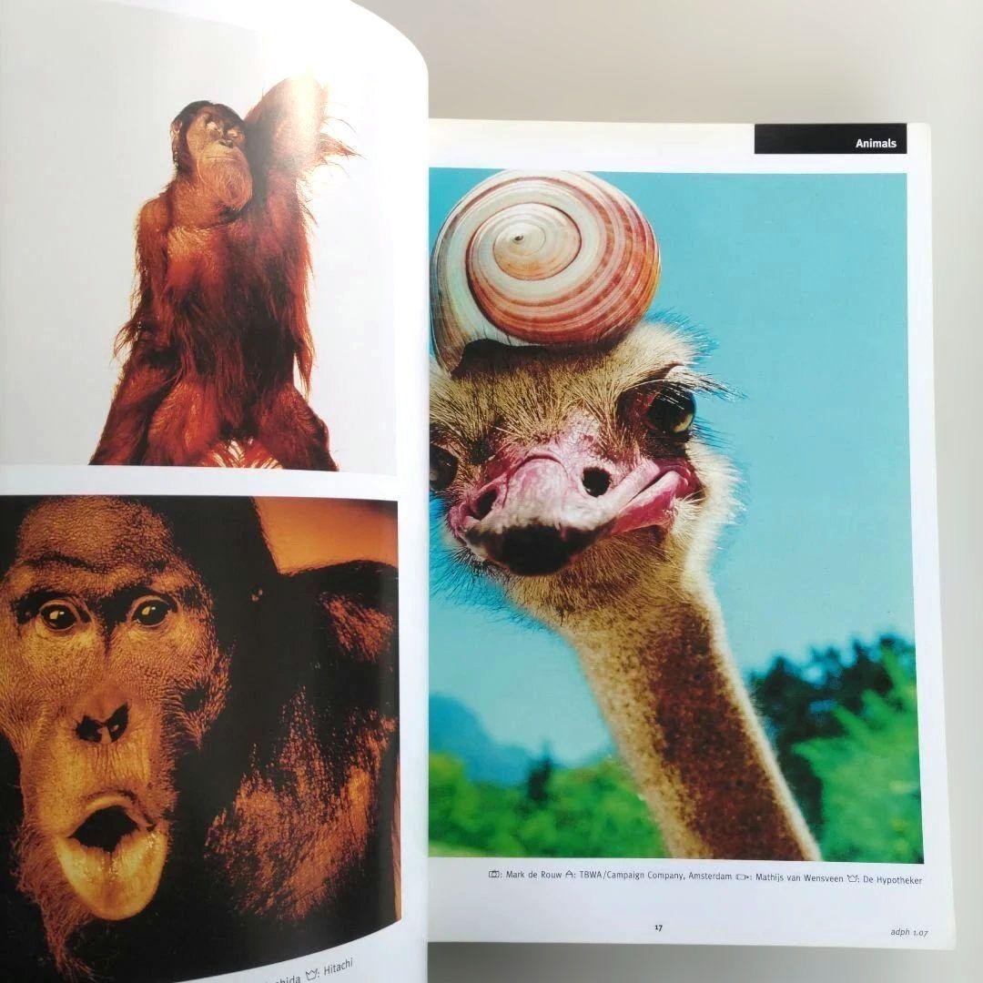 アート・デザイン・音楽 Lurzer's ARCHIVE:Advertising Photography