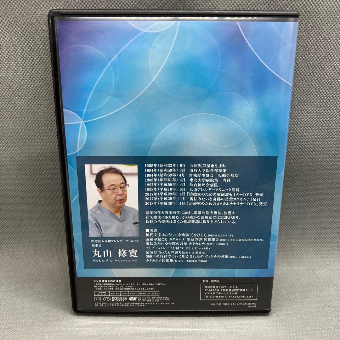 治療家のためのクスリ絵セミナーDVD 丸山修寛 DVD3枚組 カイロベーシック