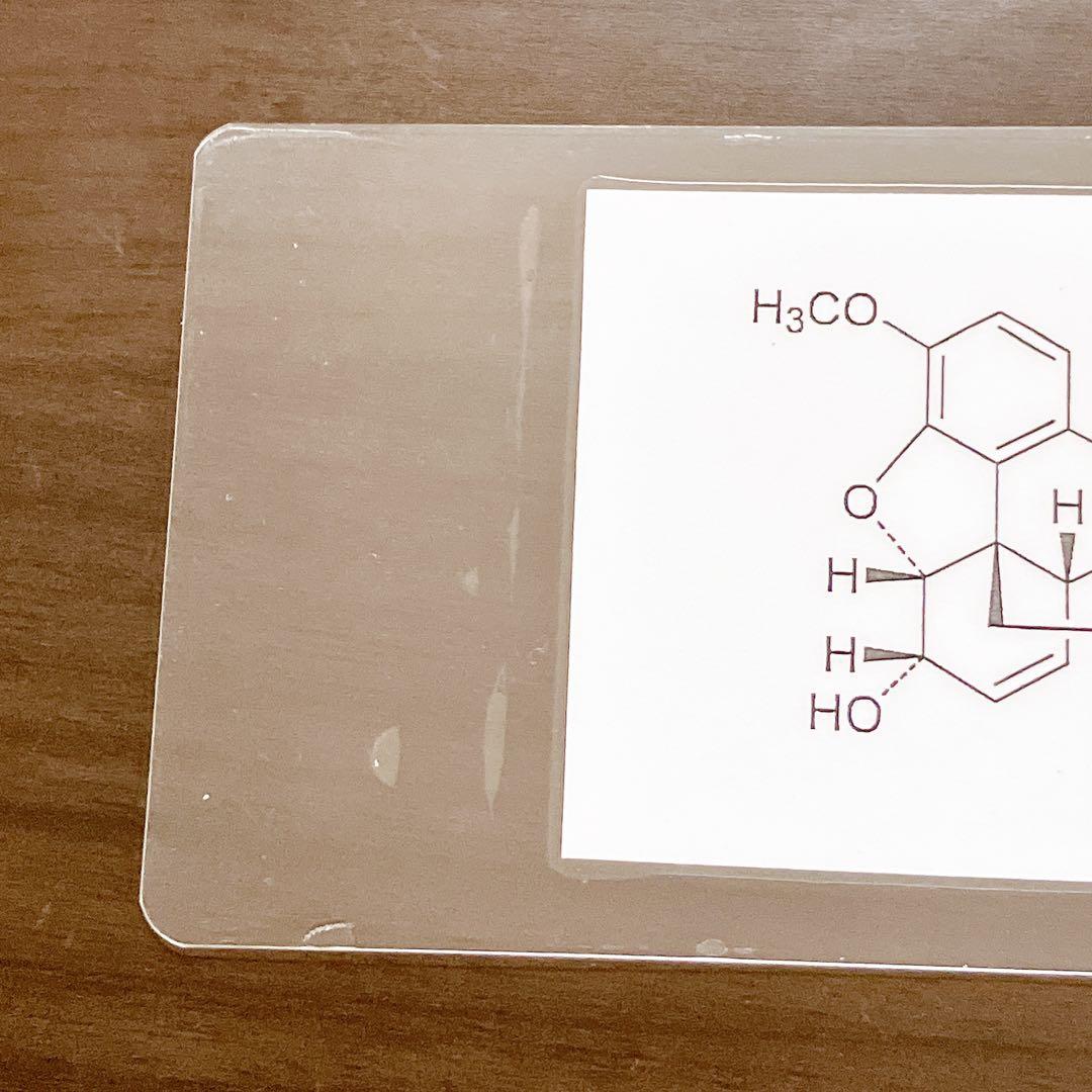 【¥3699】防水加工！どこでも使えて丈夫な　頻出衛生単語帳