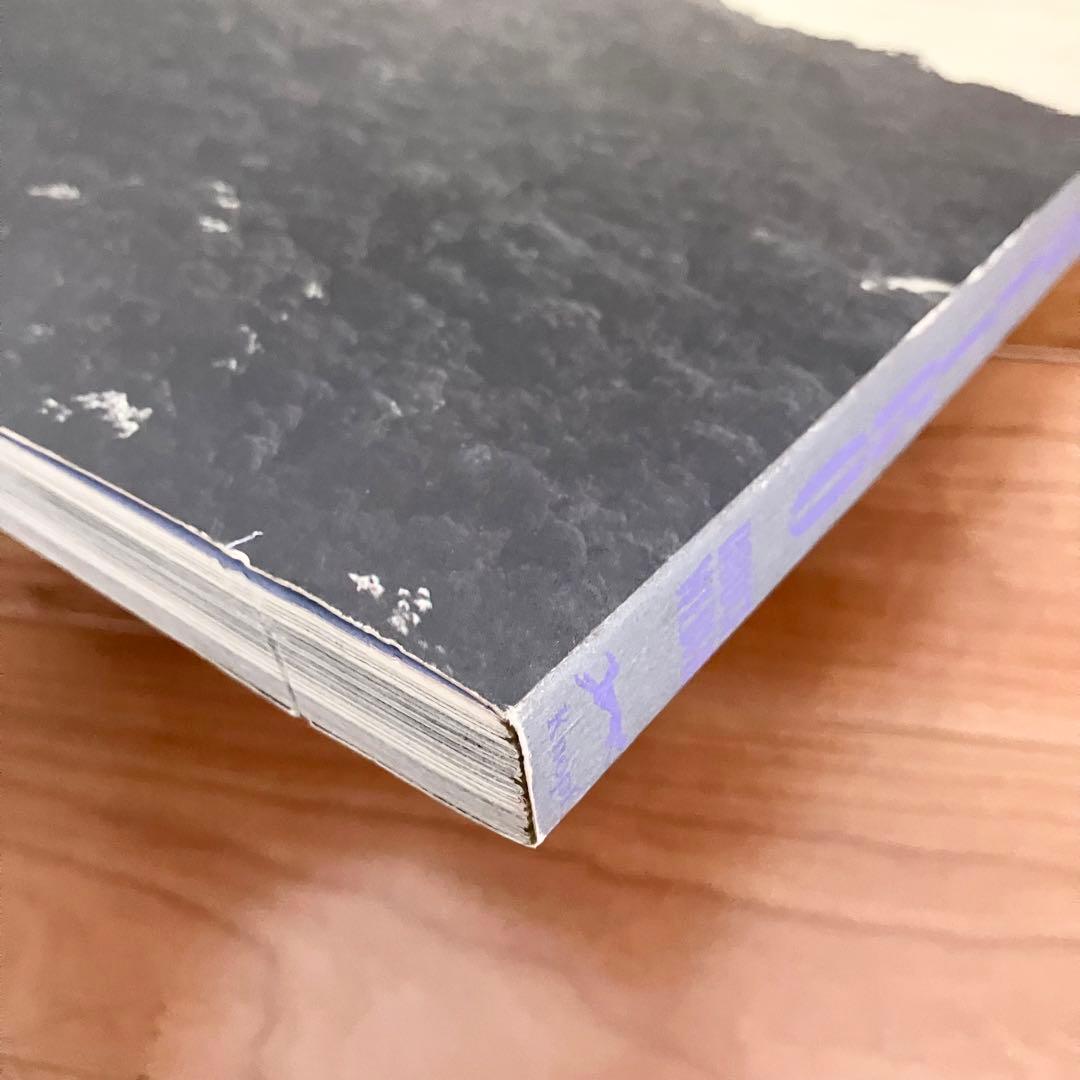 BRUCE WEBER 写真集 O RIO DE JANEIRO