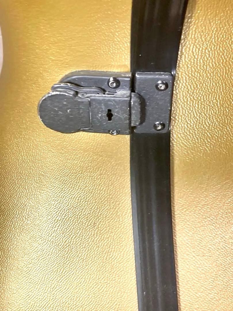 【極美品】チェロ ピグマリウス モンタニャーナ型 2004年製　ＢＡＭケース付