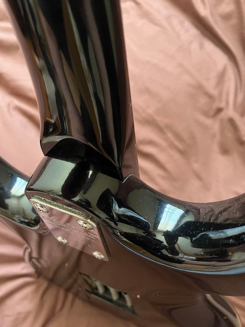 【調整済】Ariaproii アリアプロ　WILDCAT DX ギター　訳有