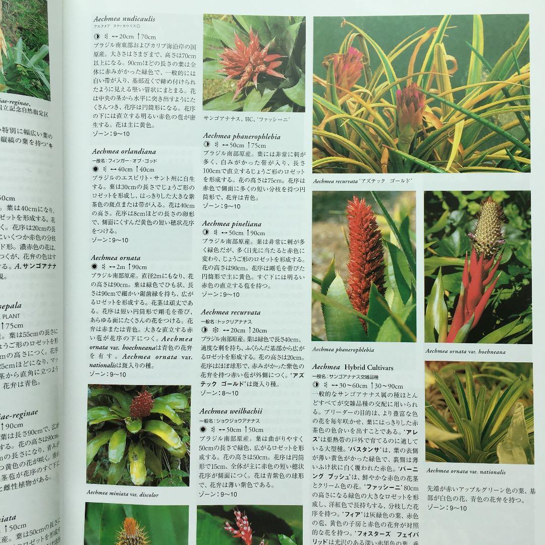 植物図鑑　フローラ : gardening