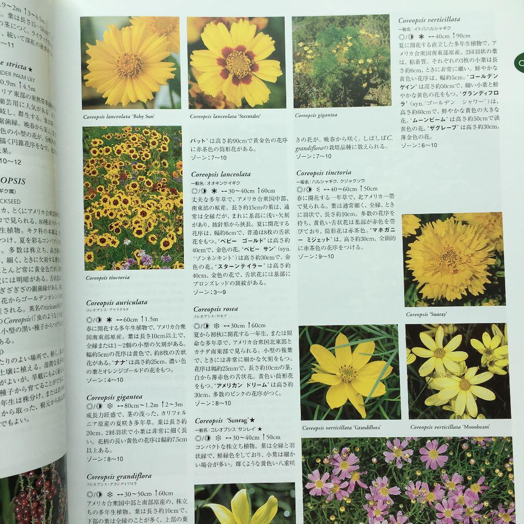 植物図鑑　フローラ : gardening