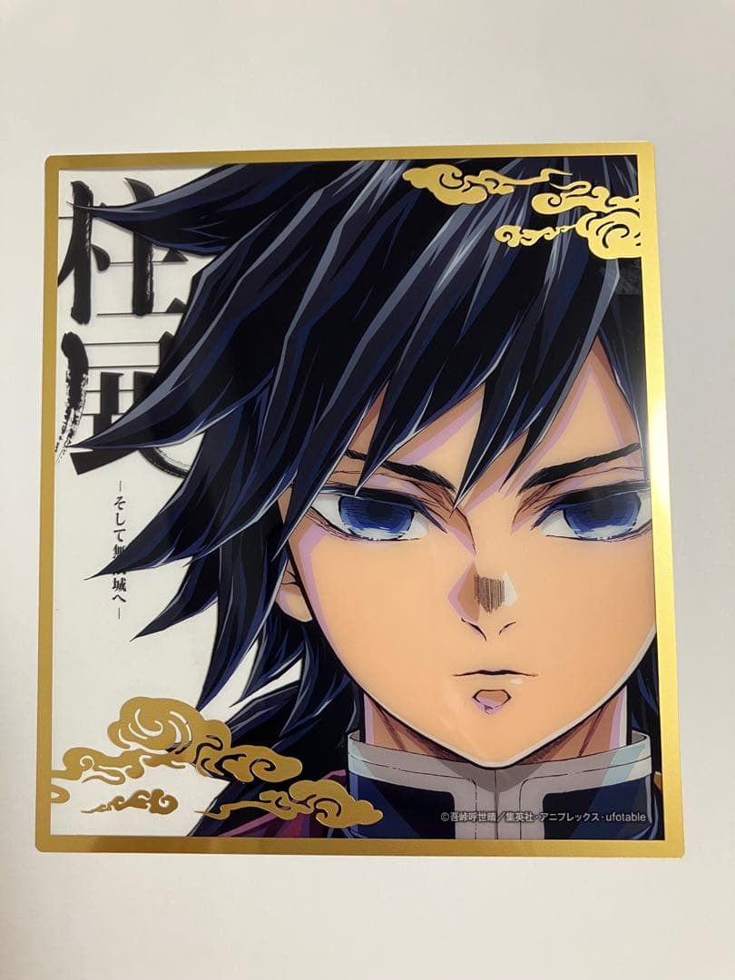 【柱展／無限城編】　冨岡義勇　5点セット