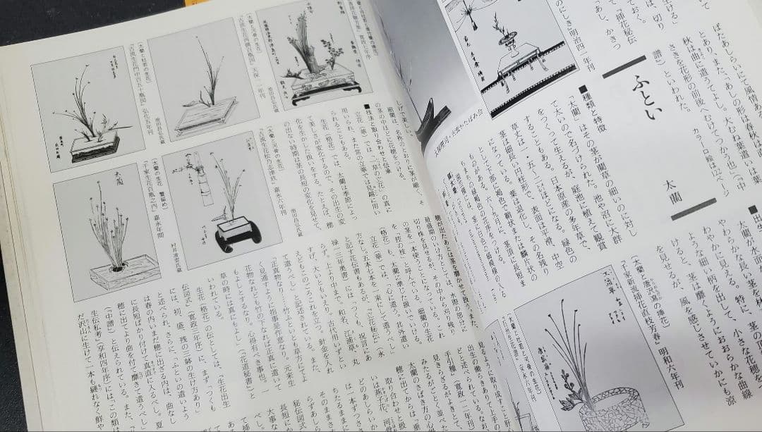 ☆早い者勝ち☆ 作例、文献付 生花格花花材事典 講談社