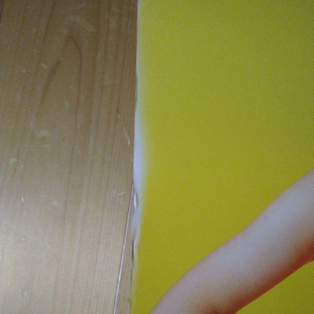 宍戸留美　大サイズポスター