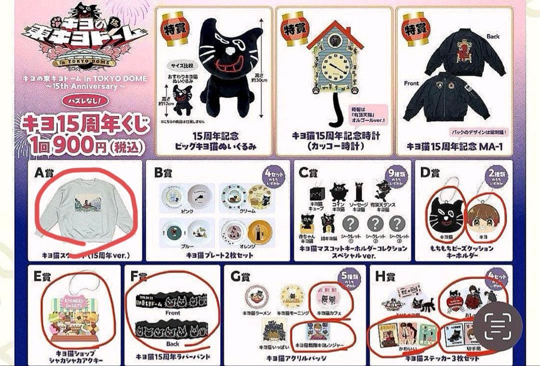 東キヨドーム キヨ 15周年くじ A賞 D賞 キヨ猫スウェット おまとめ 10点