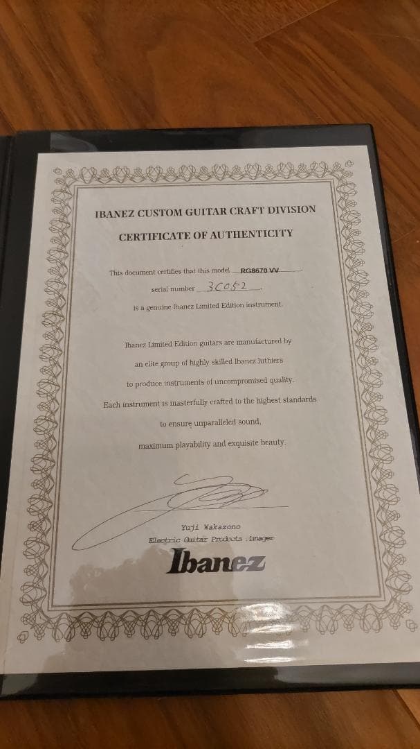 Ann　Ibanez RG8670 VV J-CUSTOM