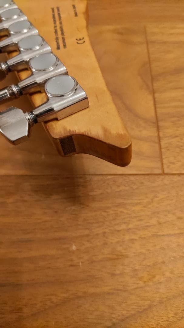 Ann　Ibanez RG8670 VV J-CUSTOM