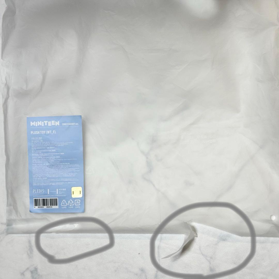 seventeen エスクプス miniteen plush toy ぬいぐるみ