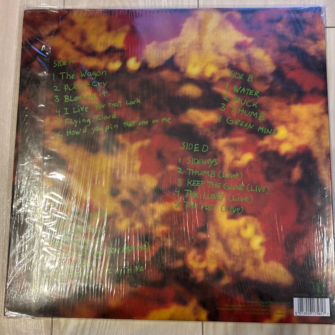 Dinosaur Jr. Green Mind レコード