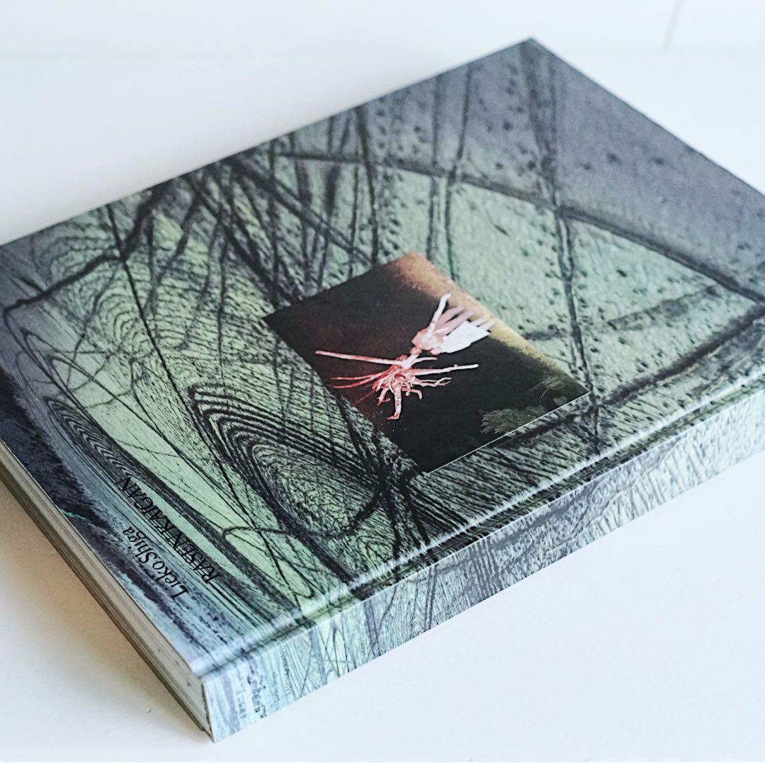 「螺旋海岸」 志賀理恵子