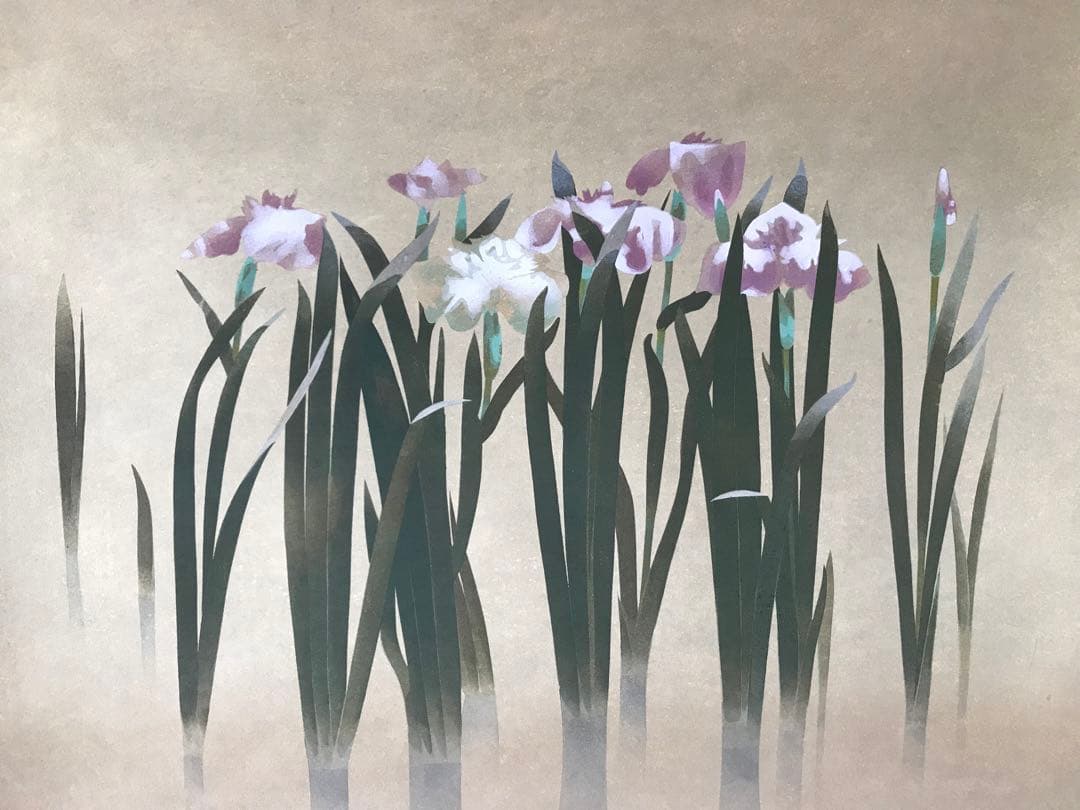 掛軸「菖蒲」徳岡神泉 筆 木版画　東京国立近代美術館所蔵　茶道具　桐箱　共箱