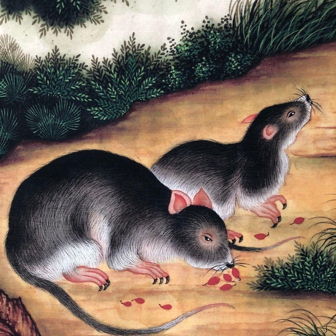 郎世寧 十二生肖・子（鼠） 鼠図 三尺中堂 掛軸　174×77cm 鑑賞用