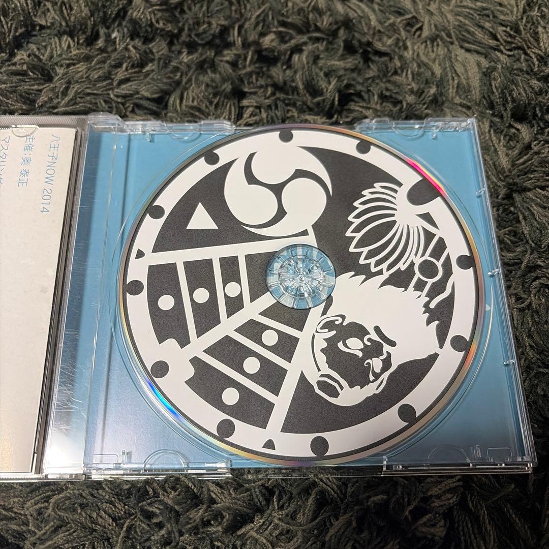 ハルカミライ　another 八王子NOW 2014