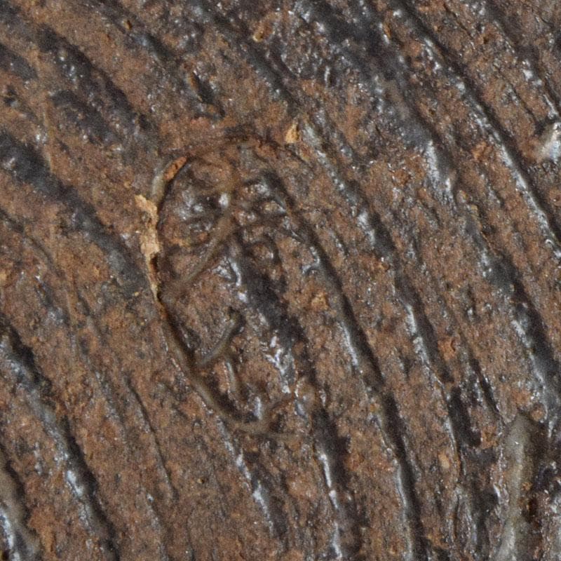 茶道具　瀬戸焼　加藤春岱作　三島写　染付花文　刷毛目　鉢　V　R9291