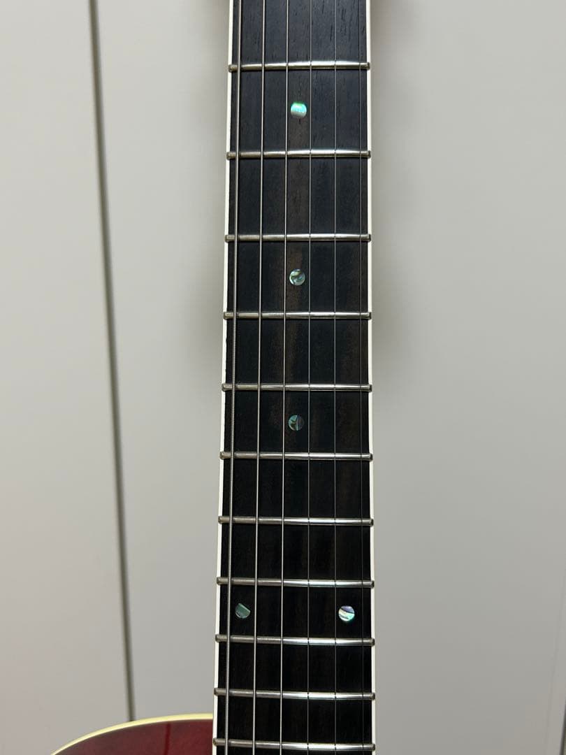 ギター ROZEO Ladybug-CB BG-CTM Bigsby