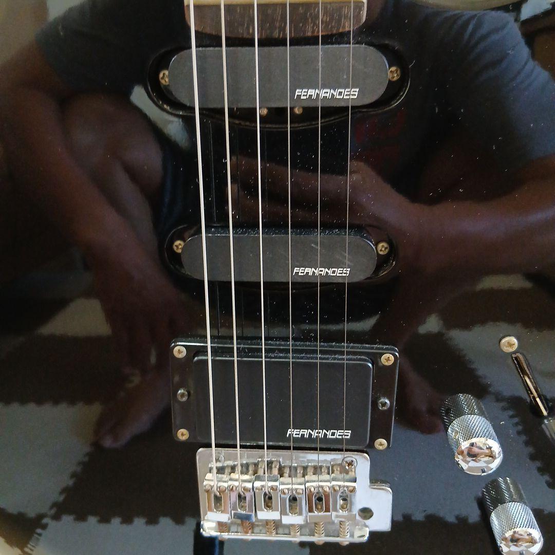 FERNANDES THE FUNCTION エレキギター
