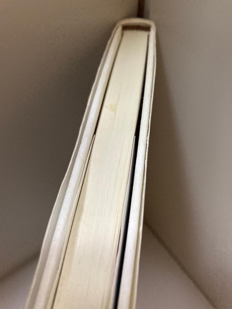 労働統合型社会的企業の可能性