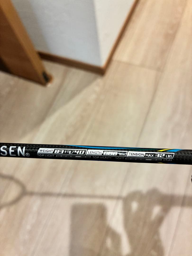 ゴーセンインフェルノ2本セット