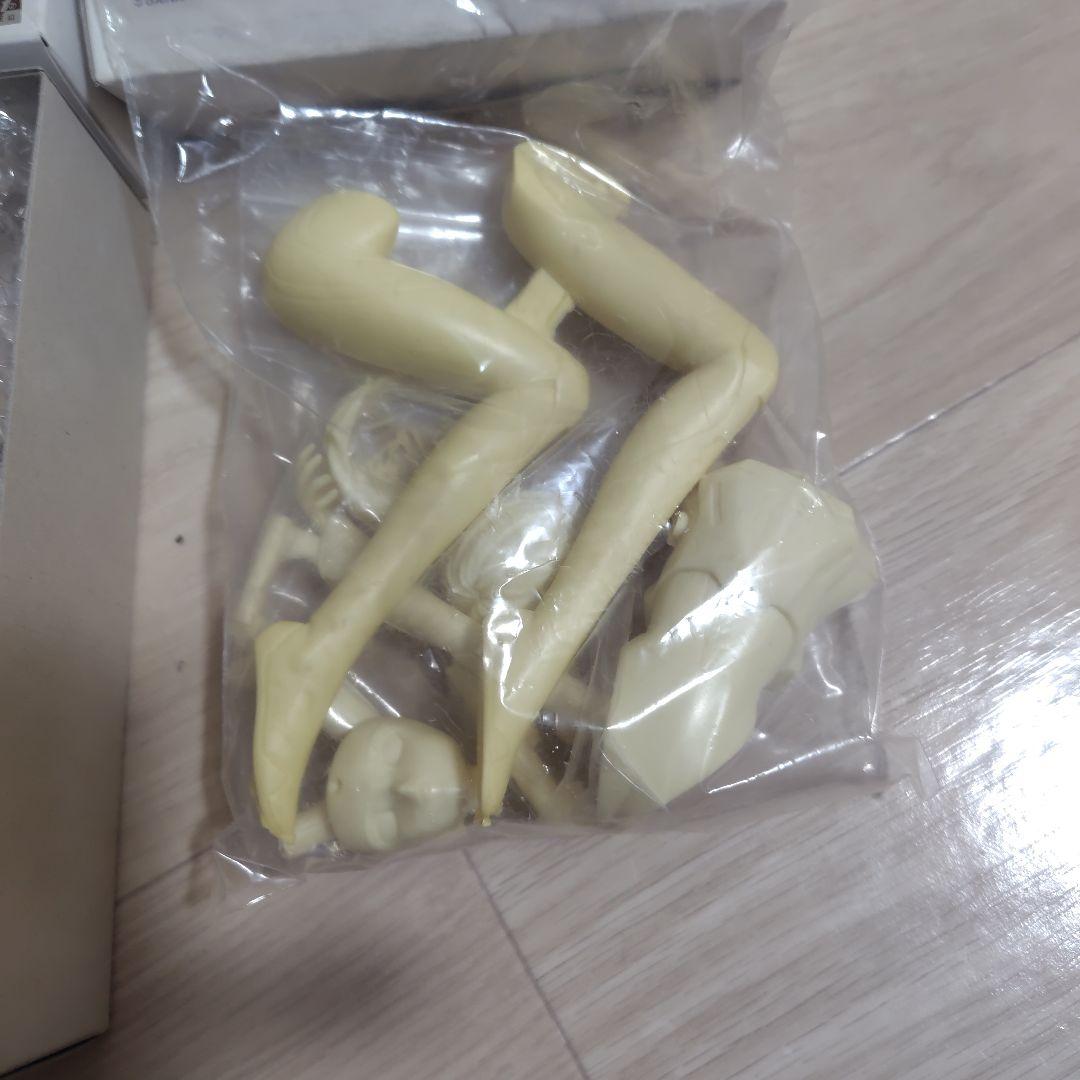 エヴァンゲリオン　綾波レイ　ガレージキットセットワンフェス