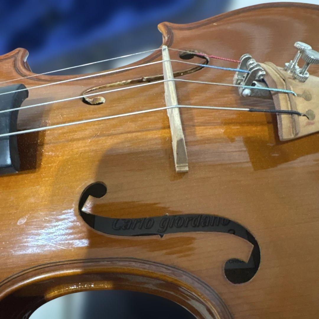 Carlo giordano バイオリン VS-0-44 4/4サイズ