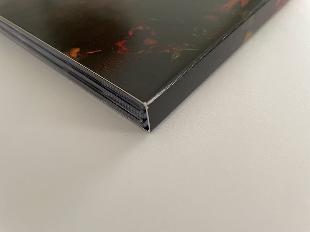 ロング・グッドバイ DVD BOX 浅野忠信 綾野剛