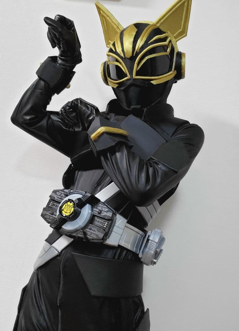 仮面ライダーナーゴ エントリーレイズフォーム コスプレ