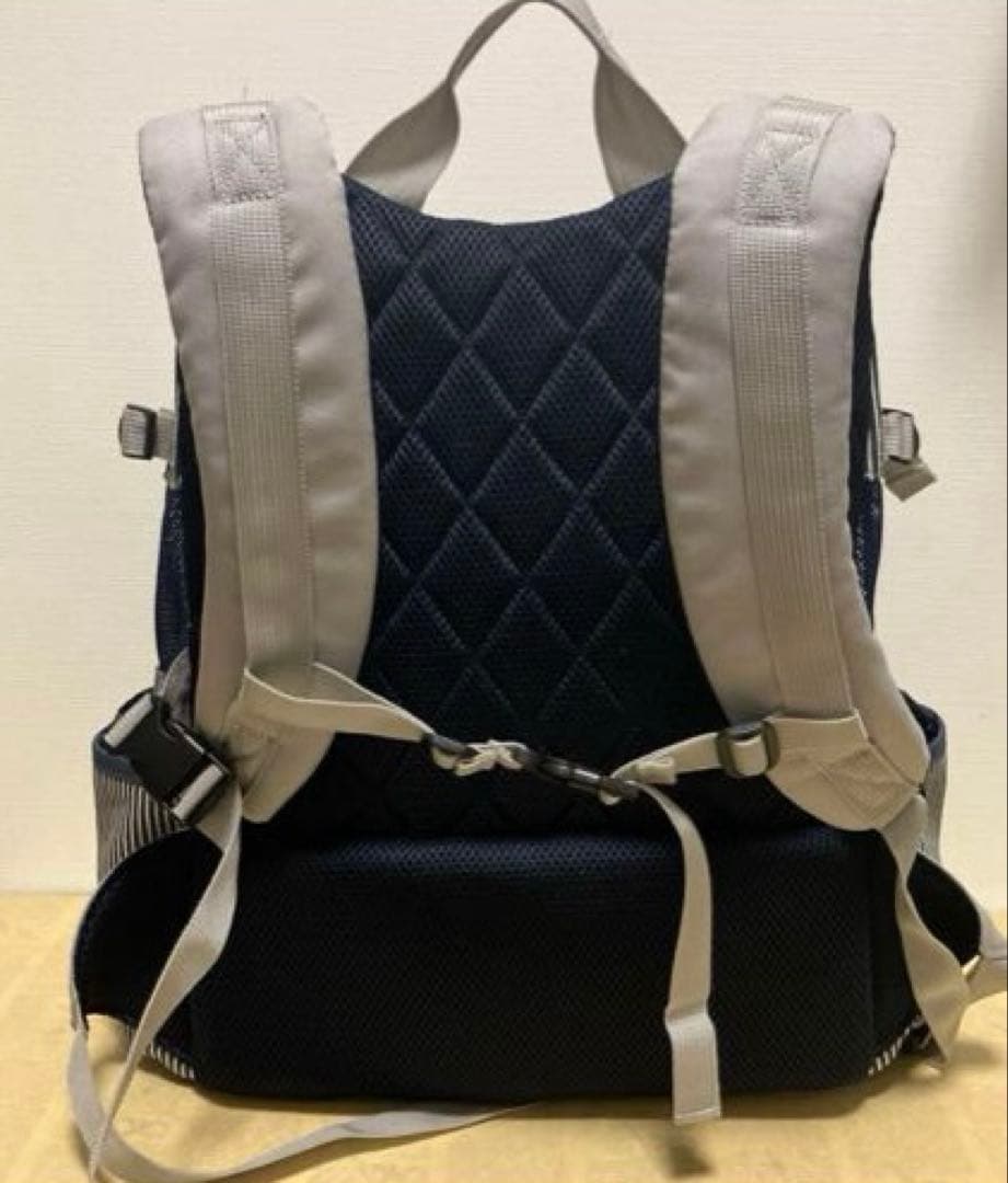 Lee キャリーバッグ　リュック　小型犬　4〜8キロ