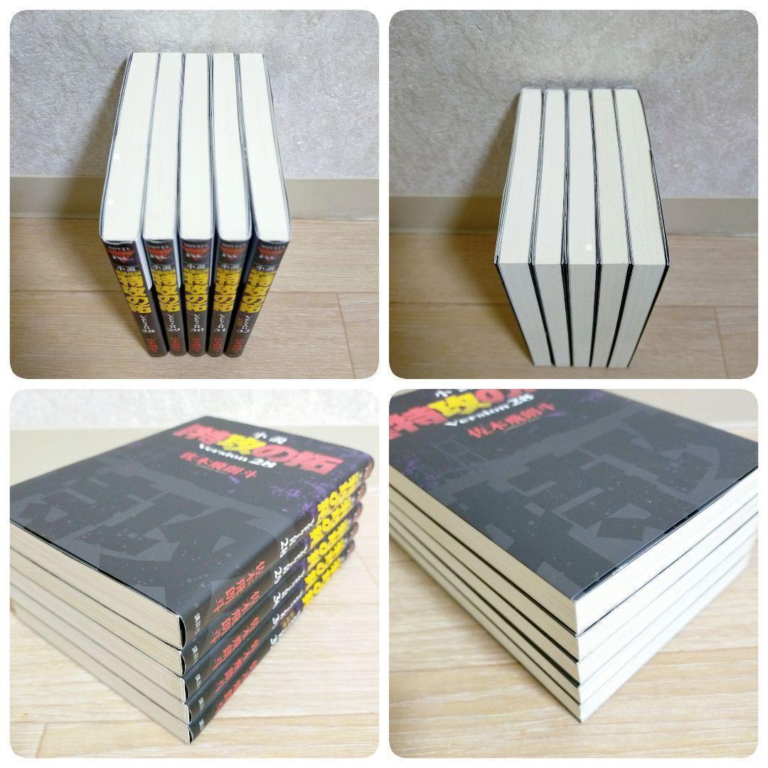 【希少】 疾風伝説 特攻の拓 小説 28~32巻 完結編 5冊セット【送料無料】