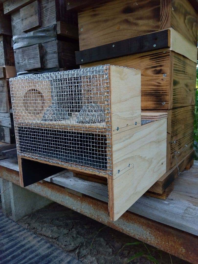 スズメバチ生捕りトラップ ３個