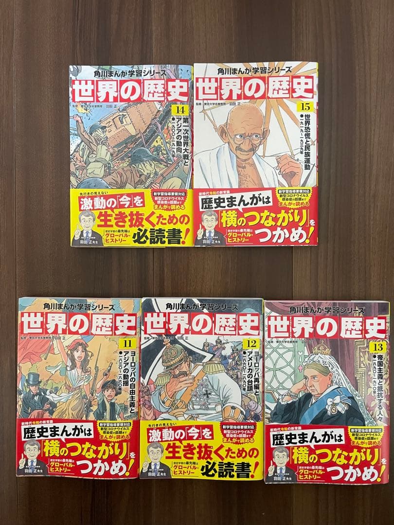まっちゃ様　世界の歴史 日本の歴史セット