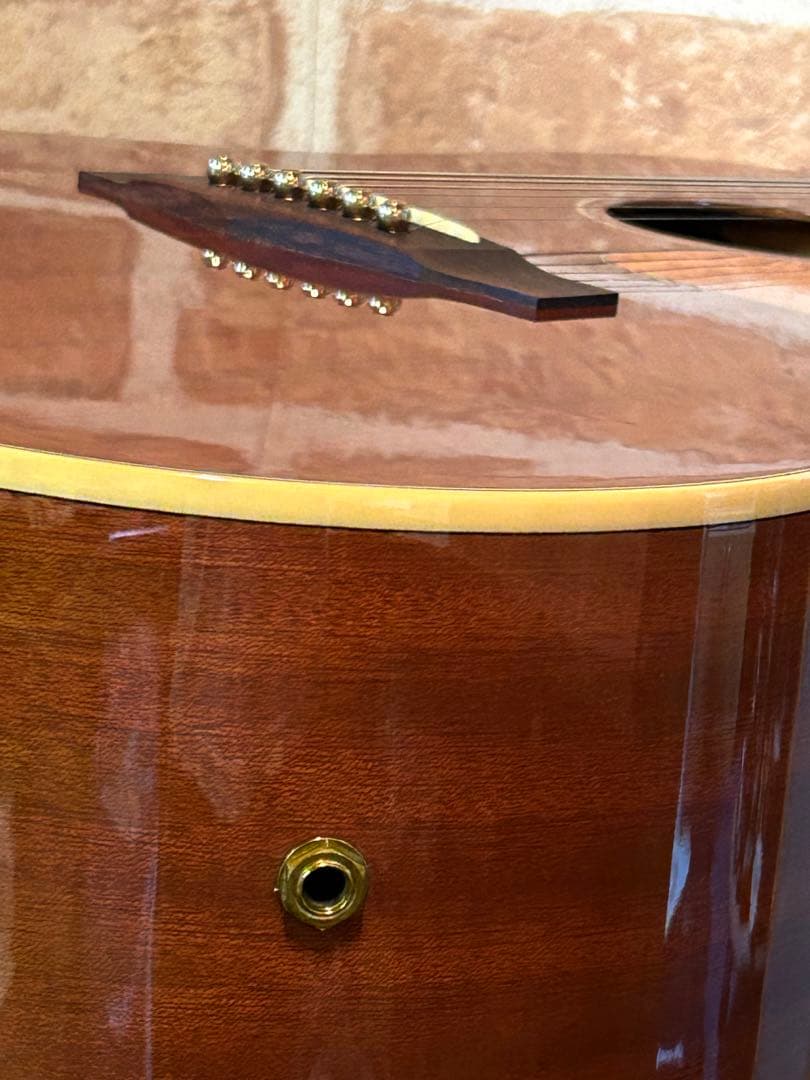 アイバニーズ・エレクトリックアコースティックギター(マホガニーボディー)