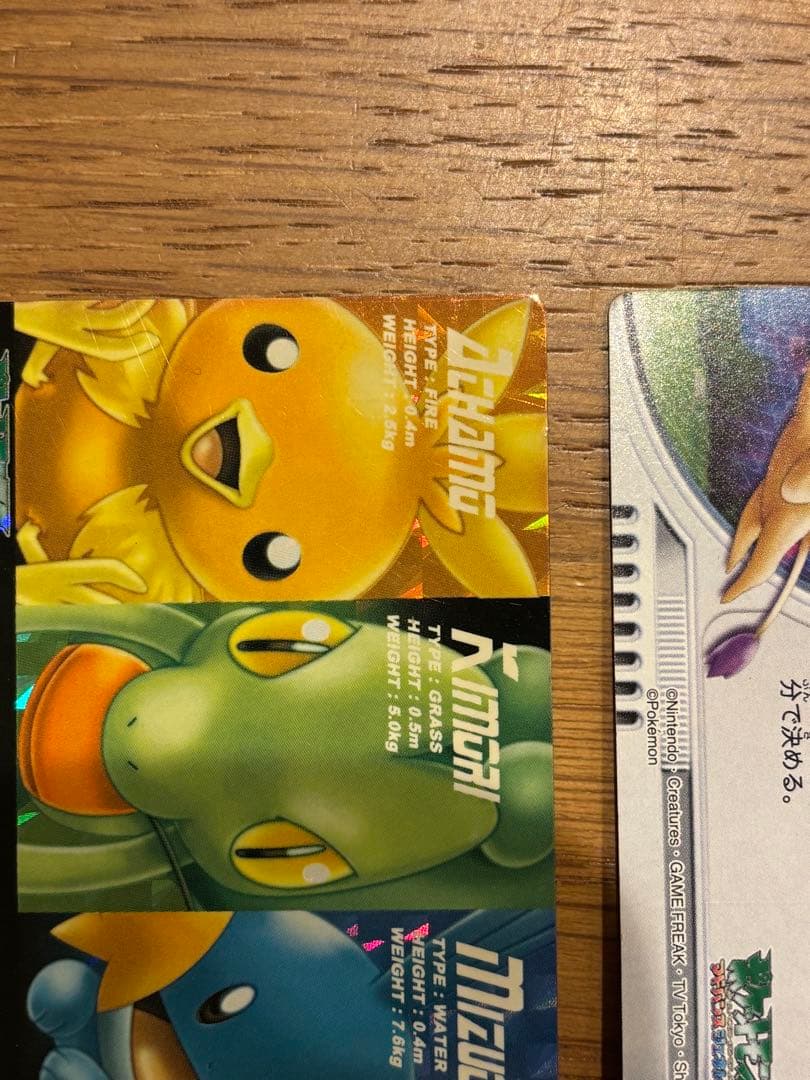 ポケモンずかんカード アドバンスジェネレーション キモリ&アチャモ&ミズゴロウ