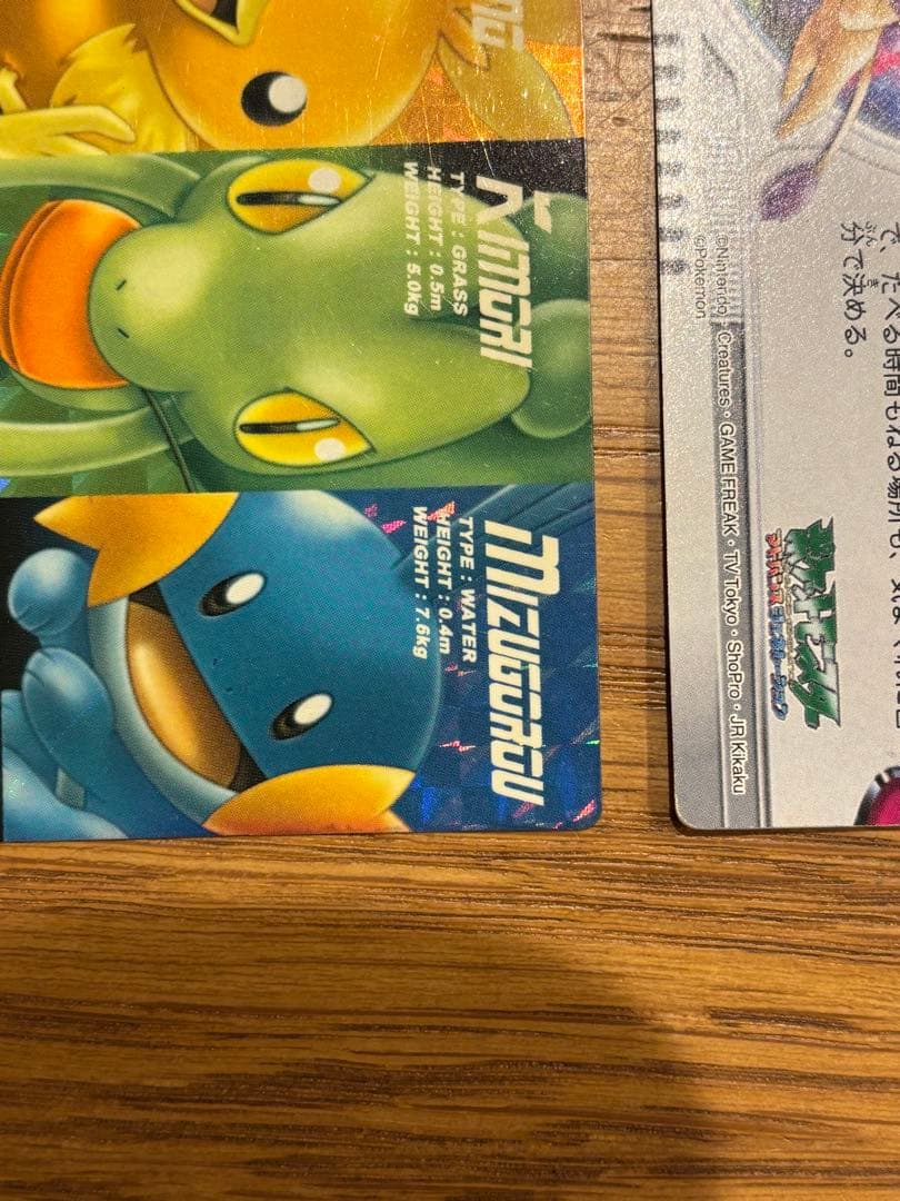 ポケモンずかんカード アドバンスジェネレーション キモリ&アチャモ&ミズゴロウ