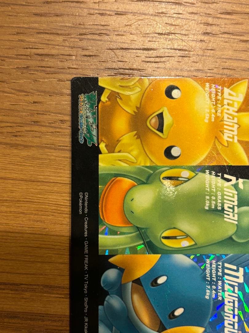 ポケモンずかんカード アドバンスジェネレーション キモリ&アチャモ&ミズゴロウ