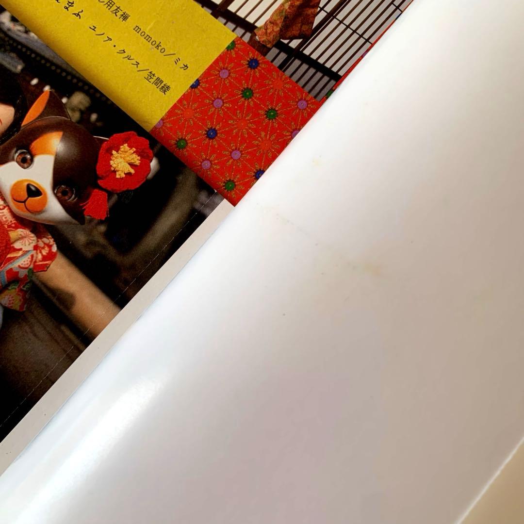 ドーリィ・ドーリィ　Dolly*Dolly vol.12〜 まとめ売り　セット