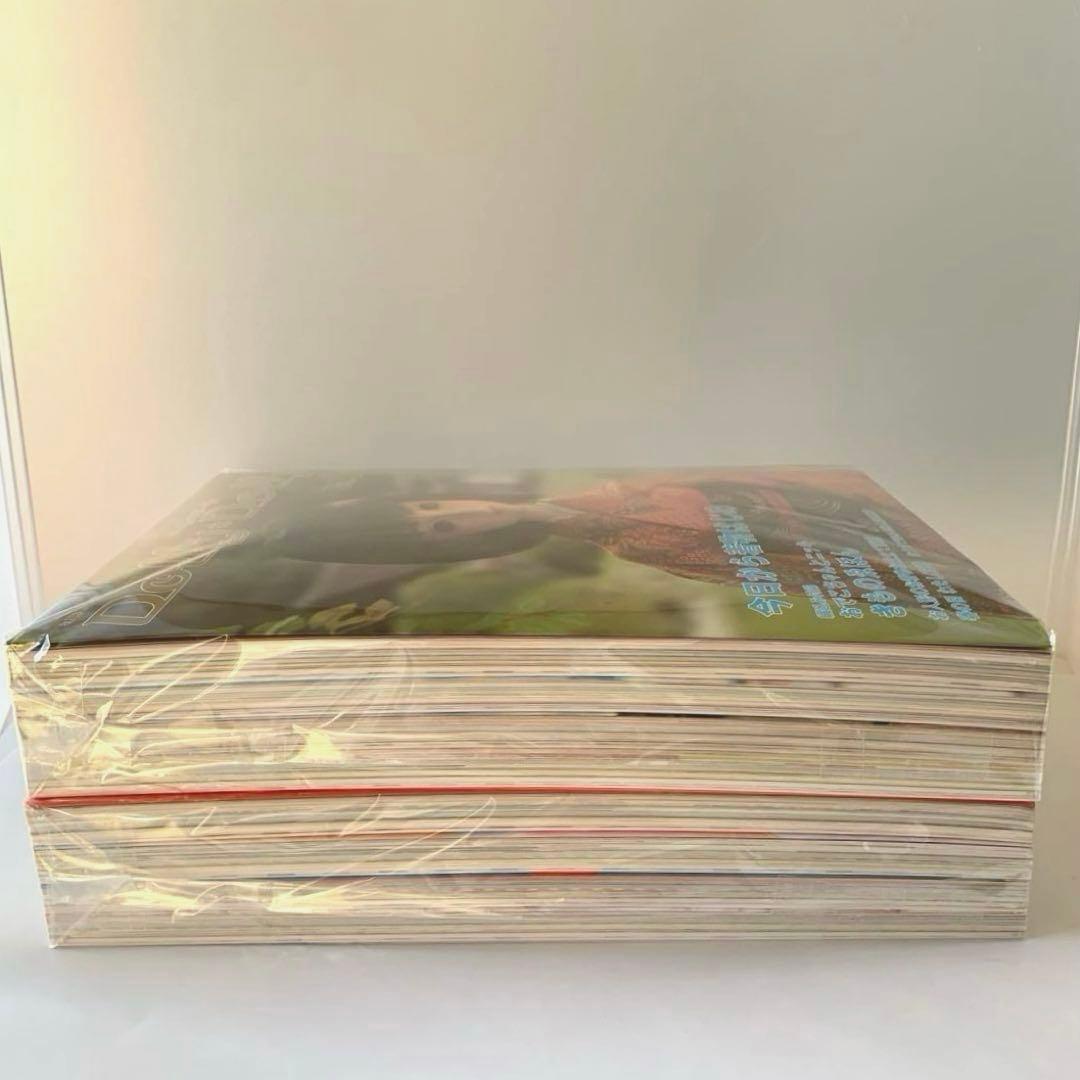 ドーリィ・ドーリィ　Dolly*Dolly vol.12〜 まとめ売り　セット