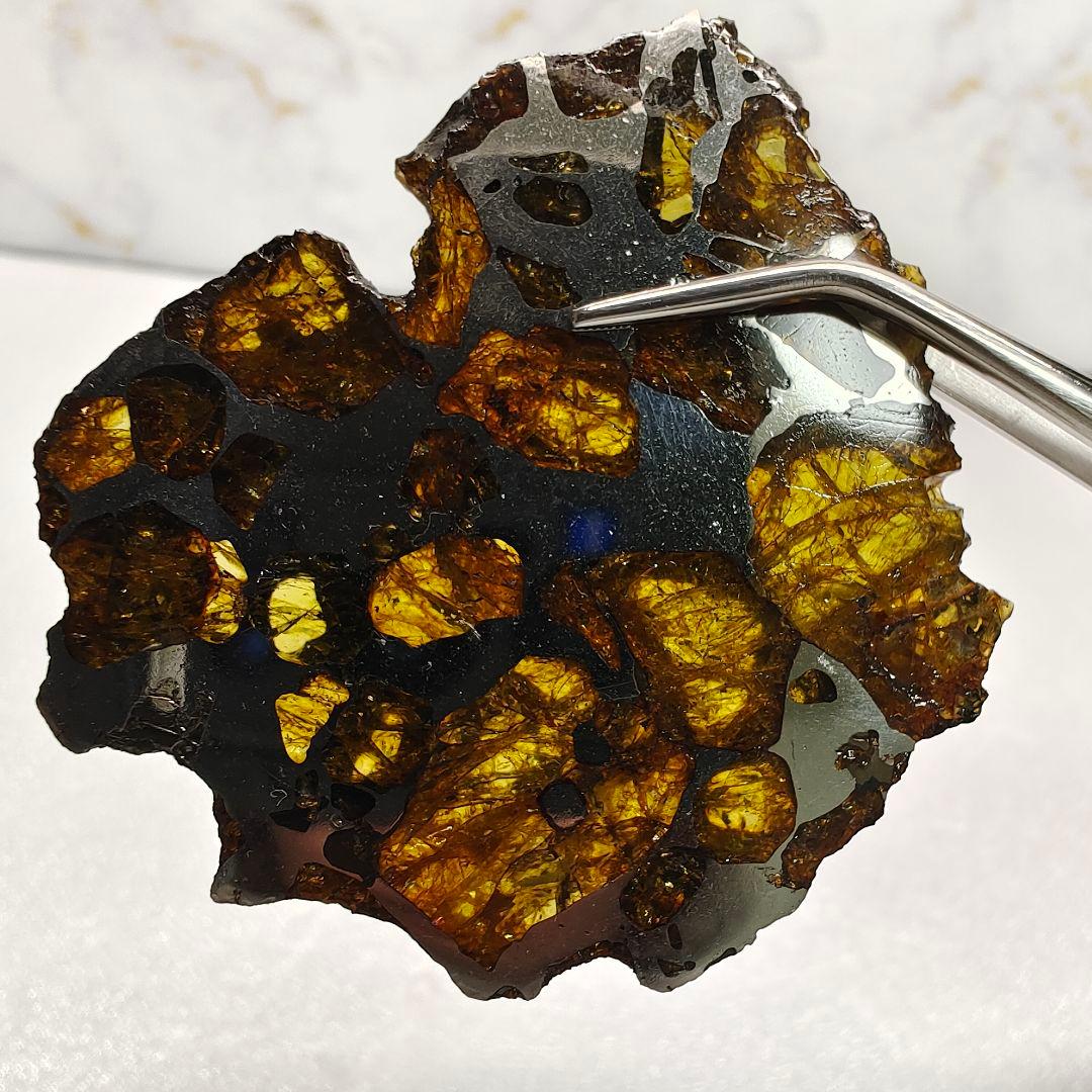 【パラサイト隕石】イミラック隕石20g ケース&ネームカード付き NO.409