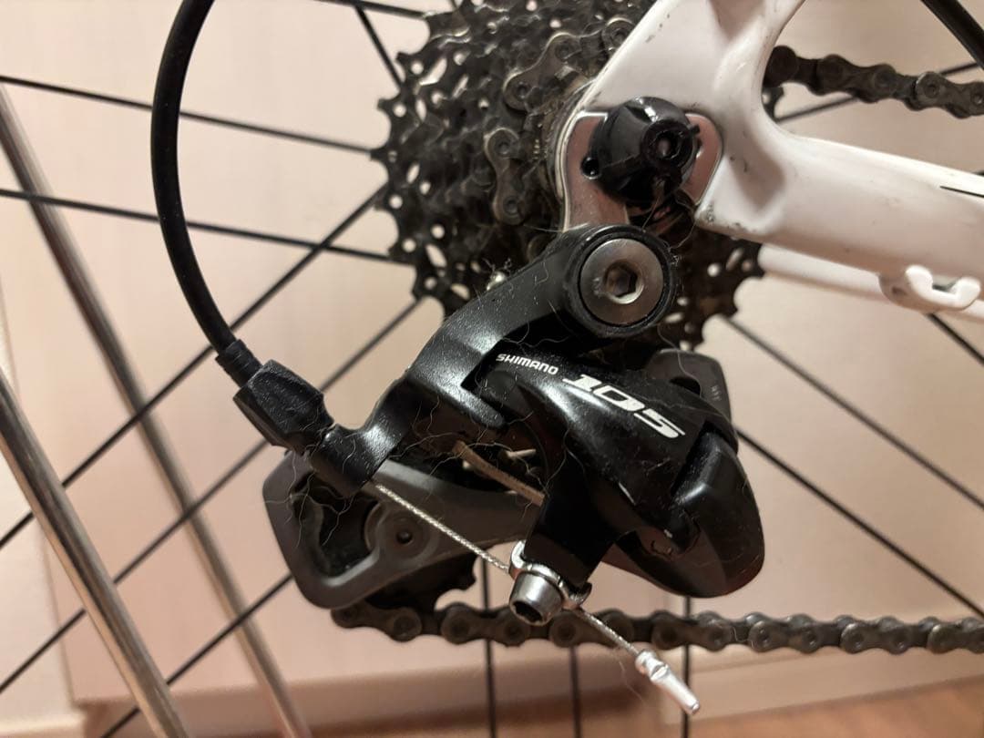 オルベア　オルカ　ブロンズ　　ホイールはカンパニョーロシロッコ装着