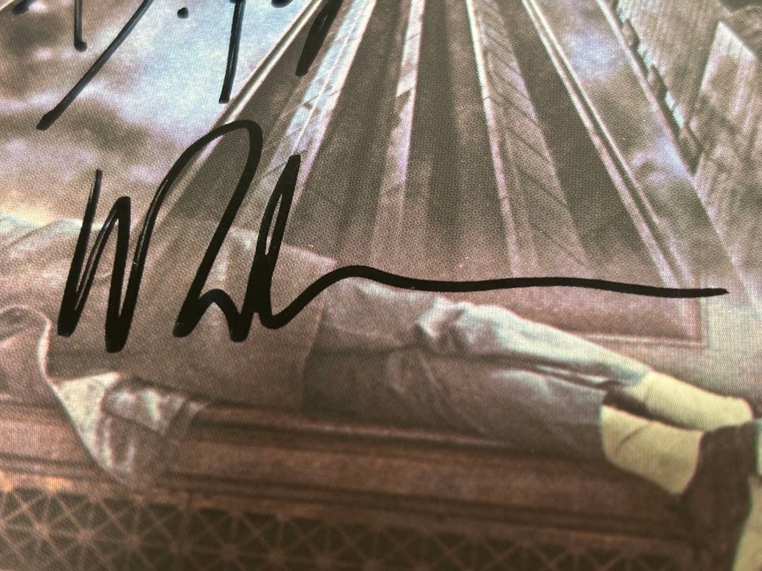 レアSteely Dan the  scamサイン スティーリー・ダン