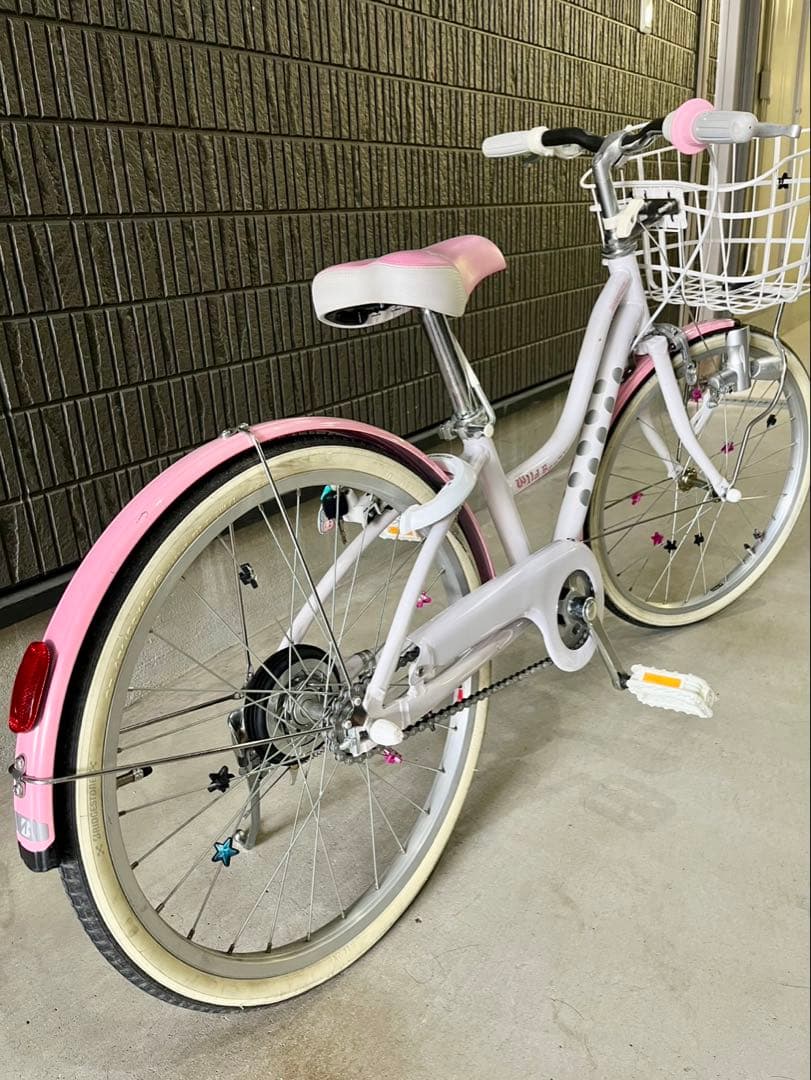 ブリヂストンサイクル　ジュニア向け自転車「ワイルドベリー」　20インチ