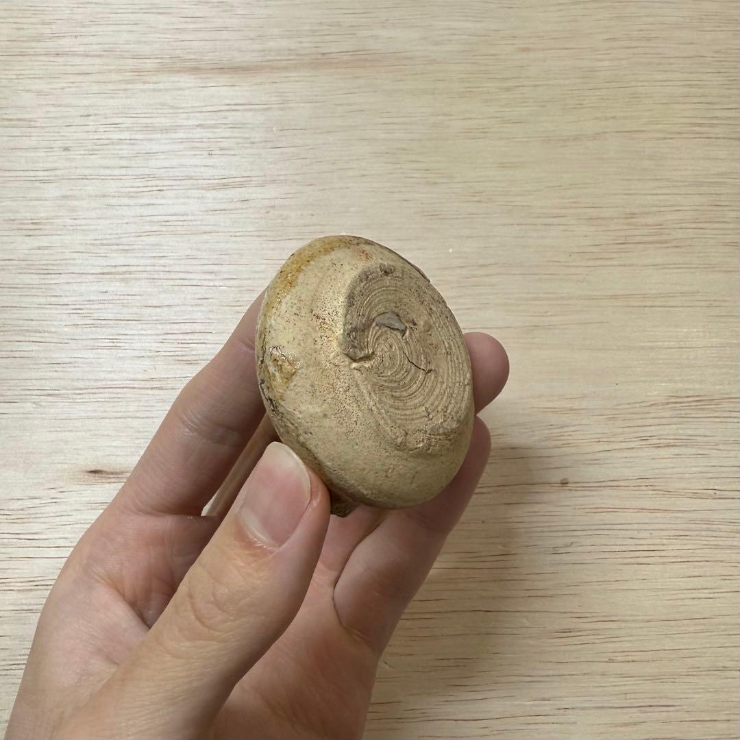 古瀬戸 水滴 灰釉 室町時代 茶入 茶道具 黄瀬戸 油揚手 古美術 骨董 民藝