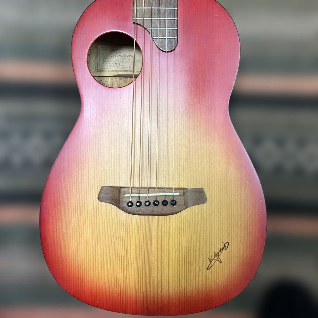 ☘️Kヤイリ　ノクターン+ピックアップ+ケース付き