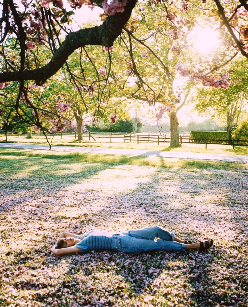 1989年（テイラー版）フィルムストリップCDディスプレイ棚