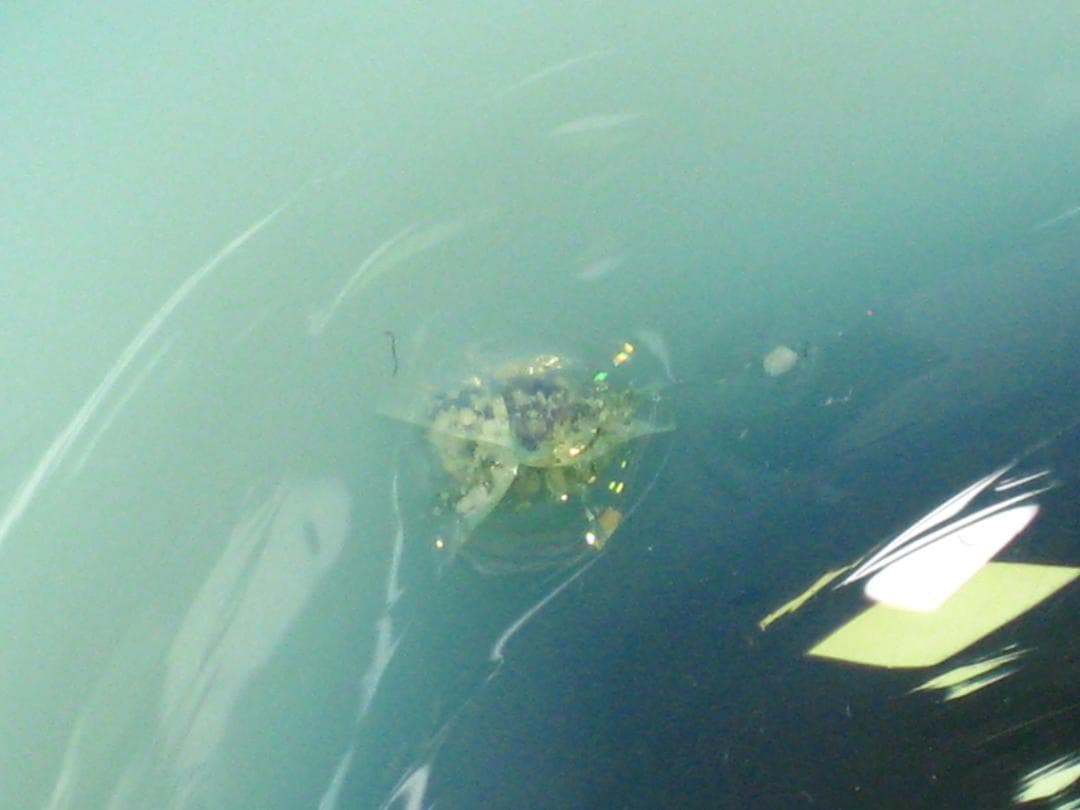 ウランガラス　氷コップ