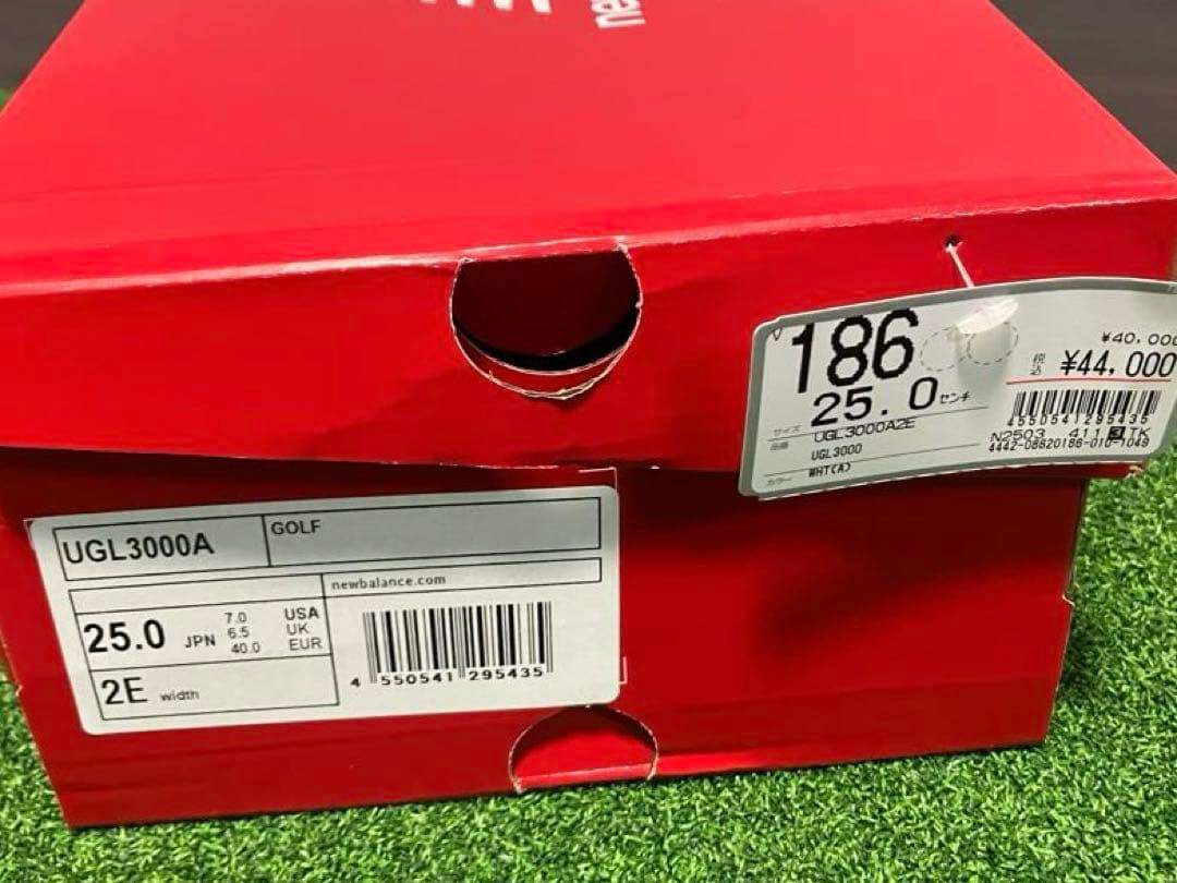 ニューバランス FuelCell 3000 v1 Limited 25.0cm
