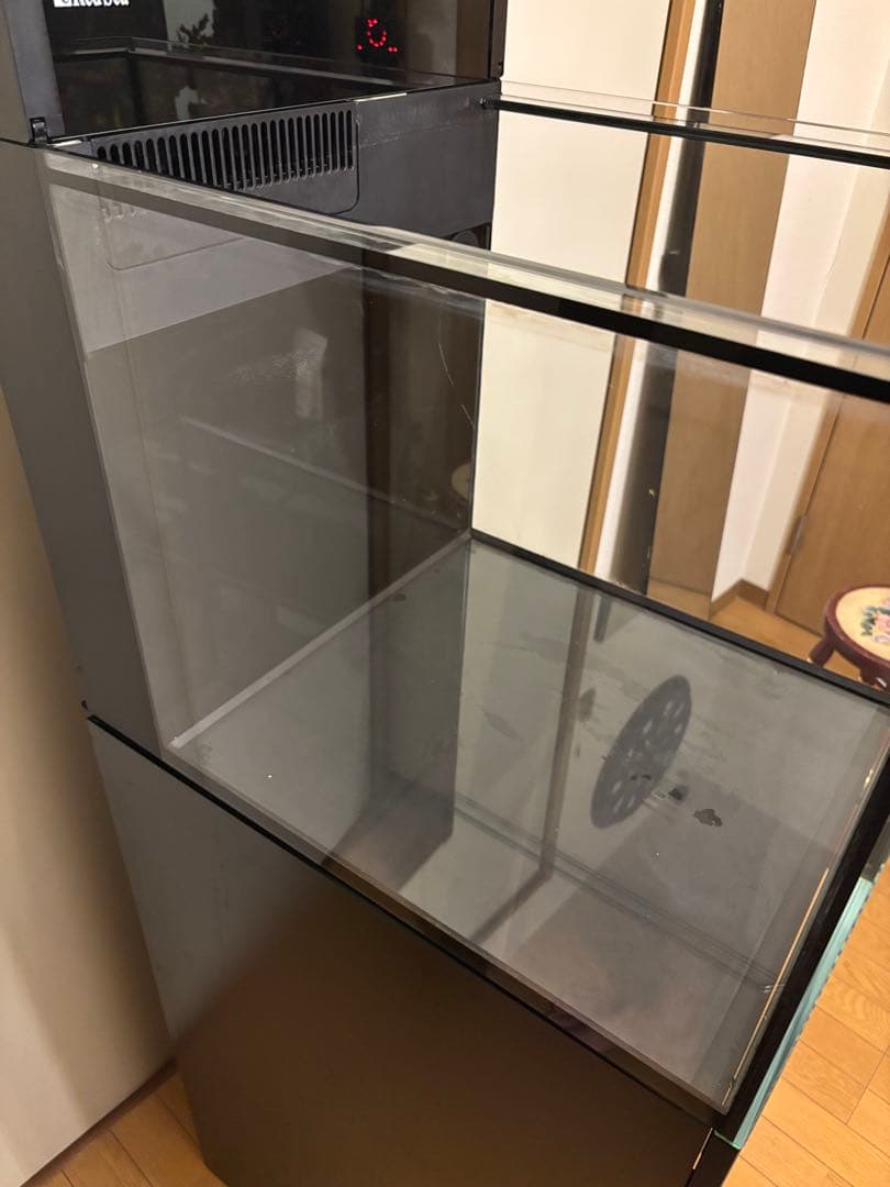 レッドシー　MAXシリーズ　ペニシュラン　大阪から